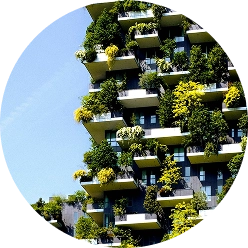 Smart City & Agricultural Section